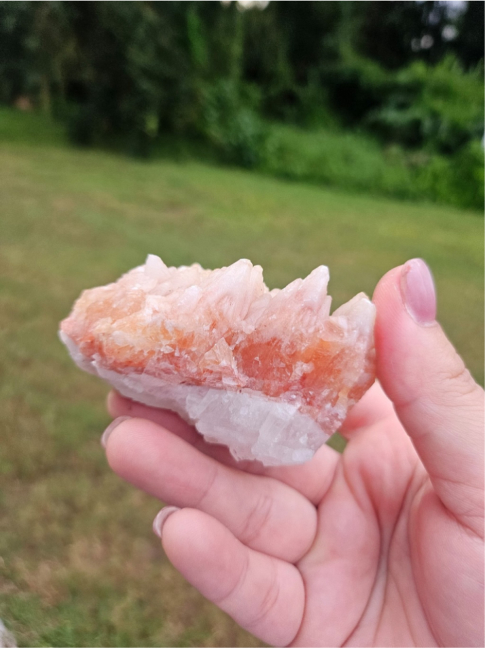 Pink calcite dog tooth specimen 2.8 in